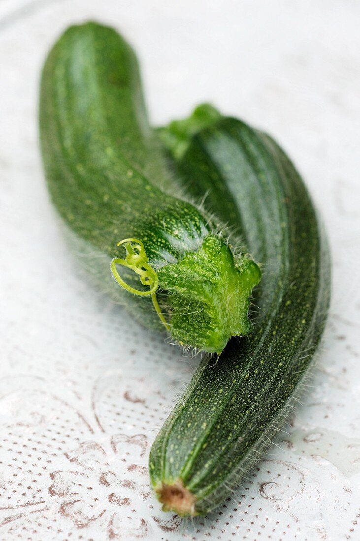 Two freshly harvested courgettes