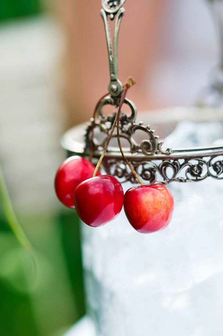 Cherries hanging on an ice bucket