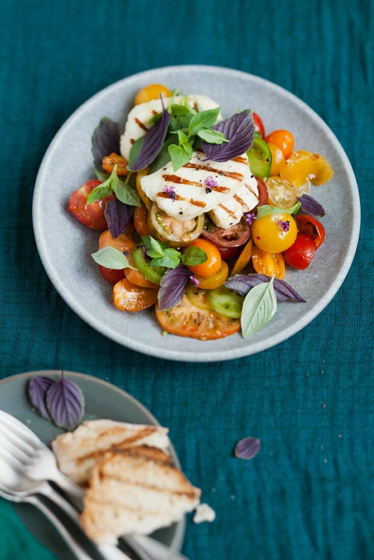 Grilled halloumi on a tomato and herb salad