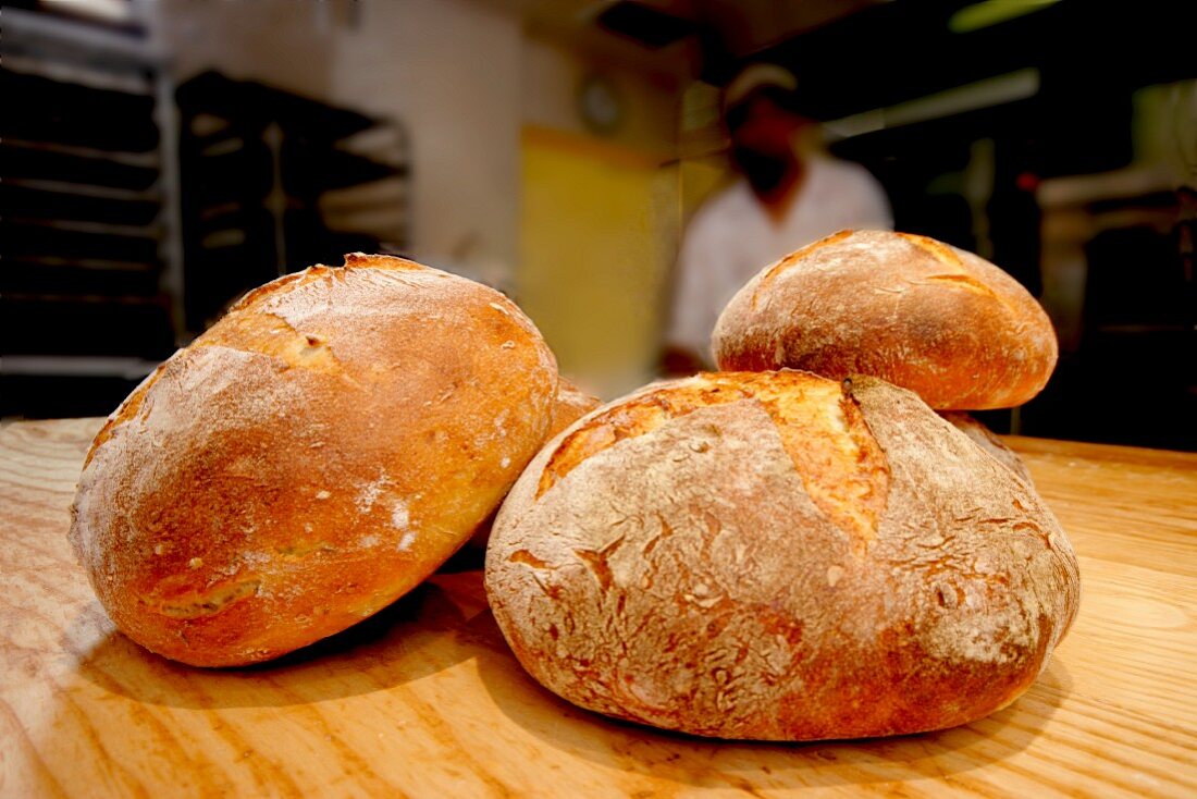 Mehrere frisch gebackene Brote in Bäckerei