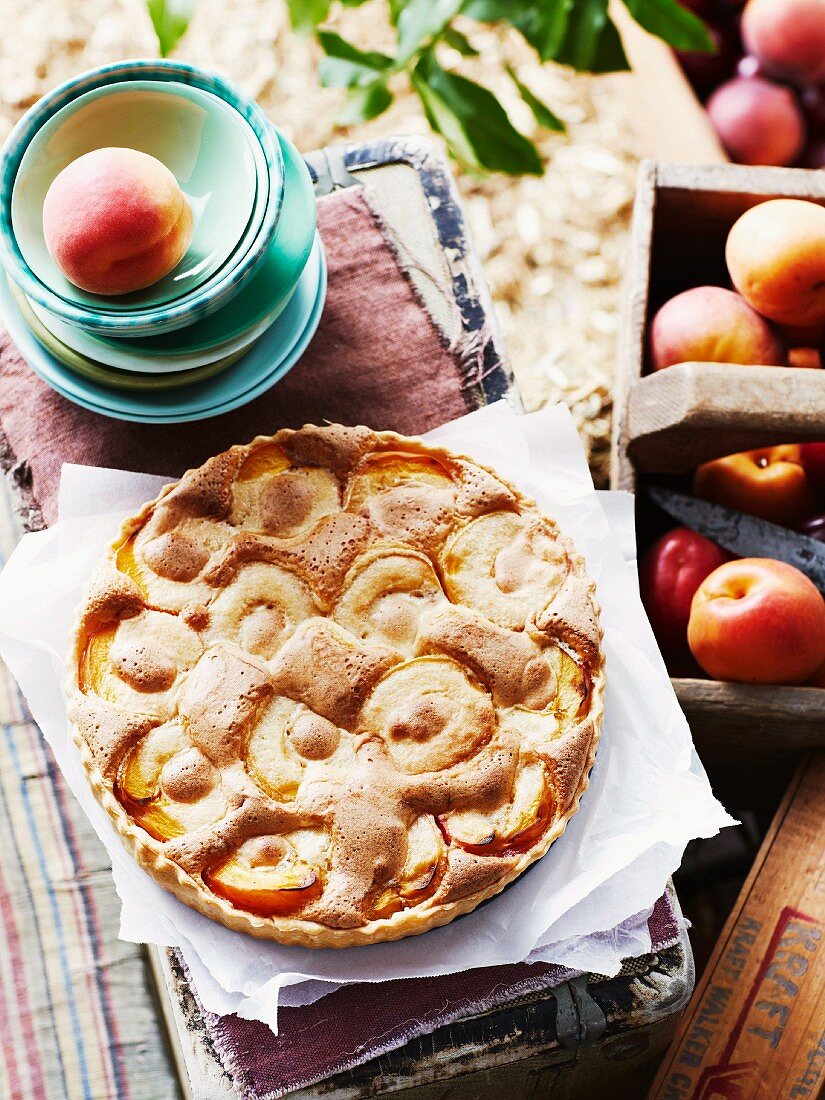Apricot and rose water tart