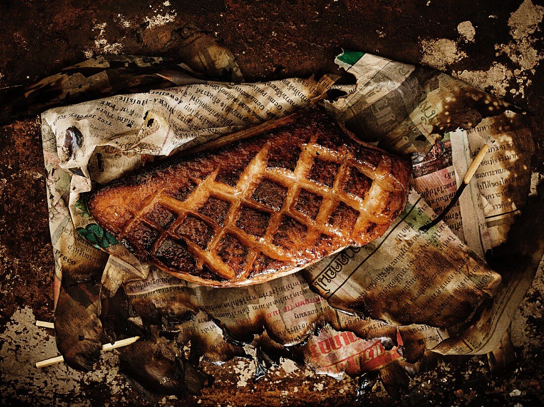 Seared Duck on Newspaper