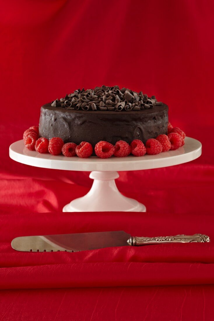 Chocolate Ganache Cake with Chocolate Shavings and Raspberries