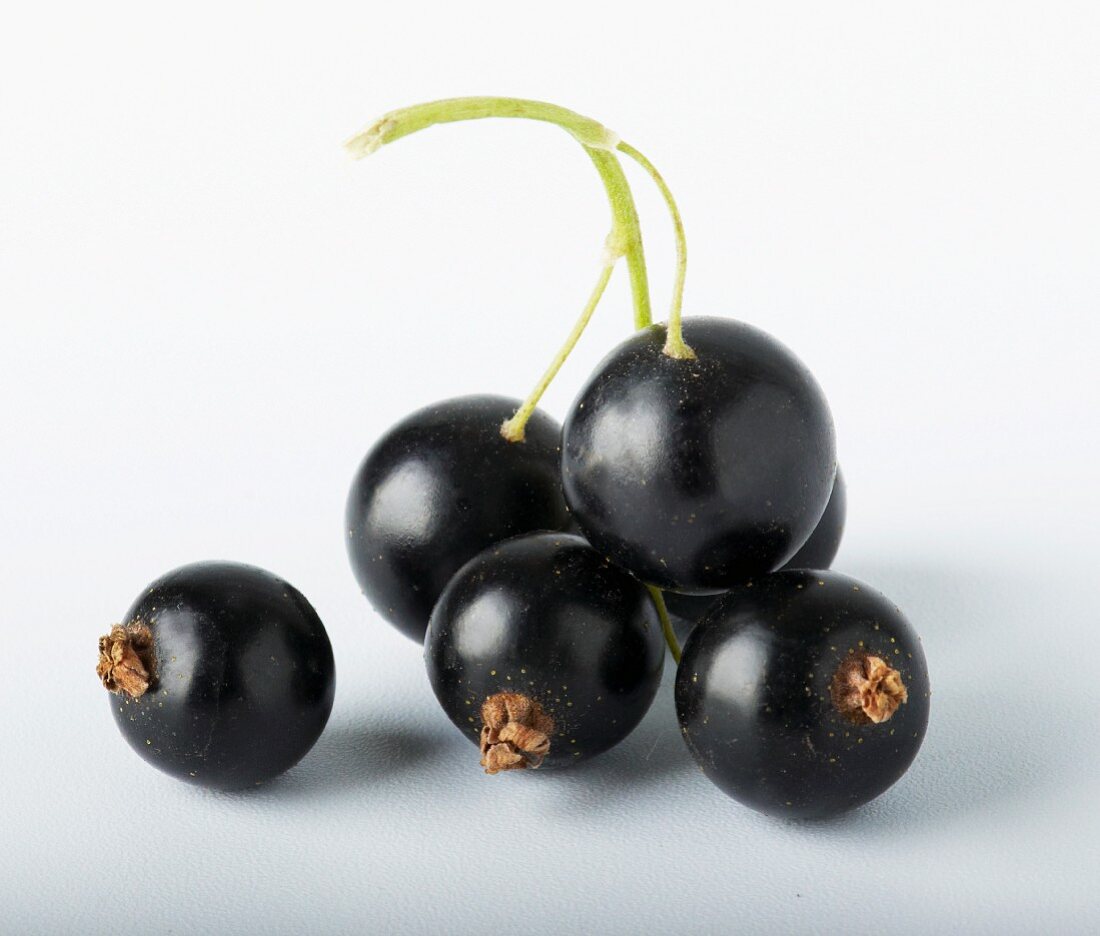 Several blackcurrants against a white background