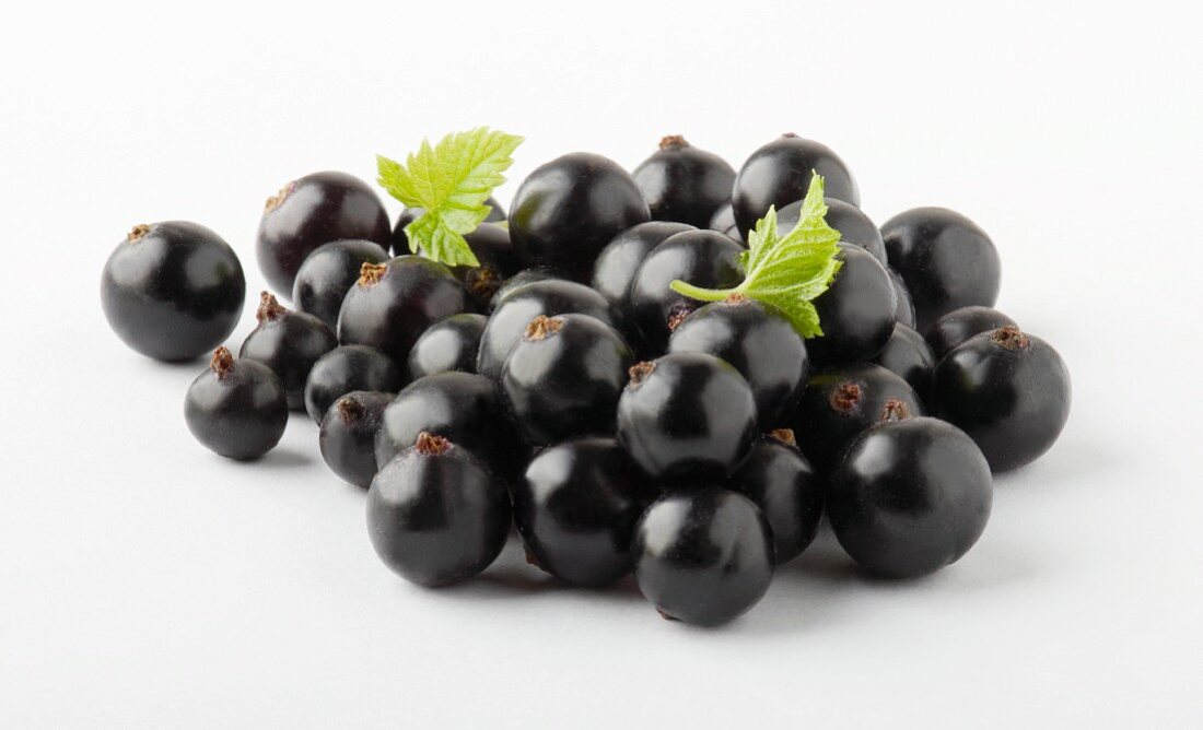 Blackcurrants against a white background