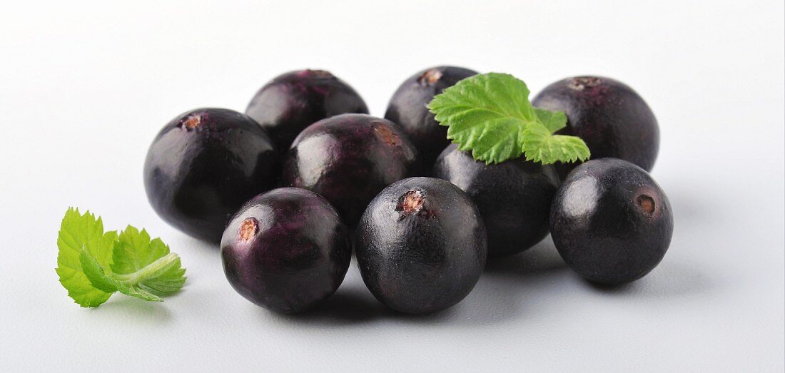 Several acai berries with leaves against a white background