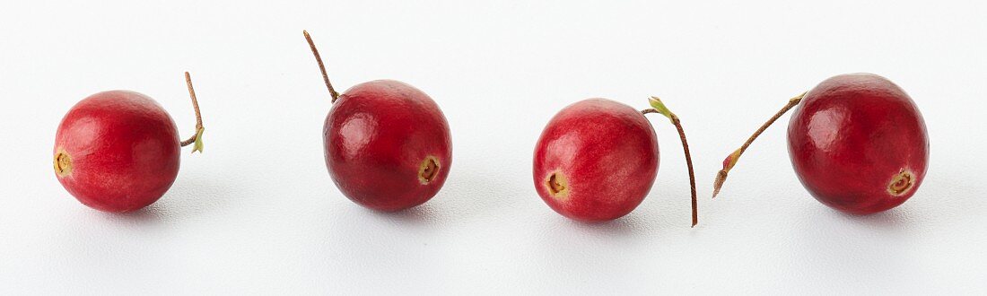 Four cranberries against a white background