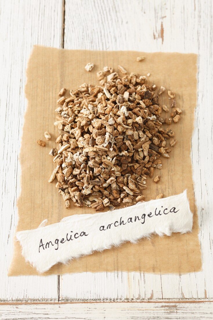 Garden angelica (Angelica archangelica), dried