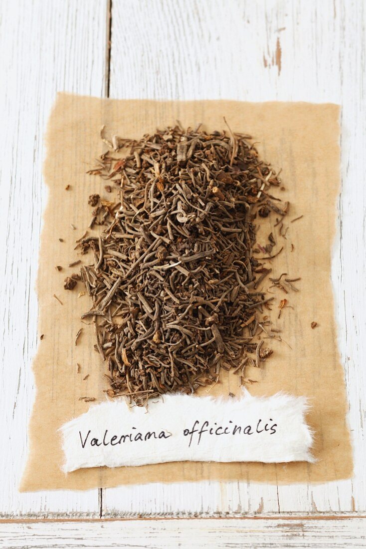 Echter Baldrian (Valeriana officinalis), getrocknet