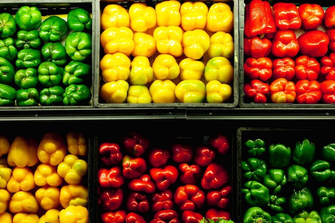 Green, yellow and red peppers for sale at farmers market
