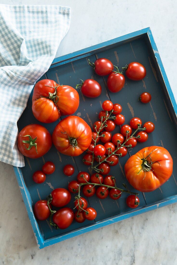 Verschiedene Tomatensorte in einer blauen, quadratischen Kiste (Aufsicht)