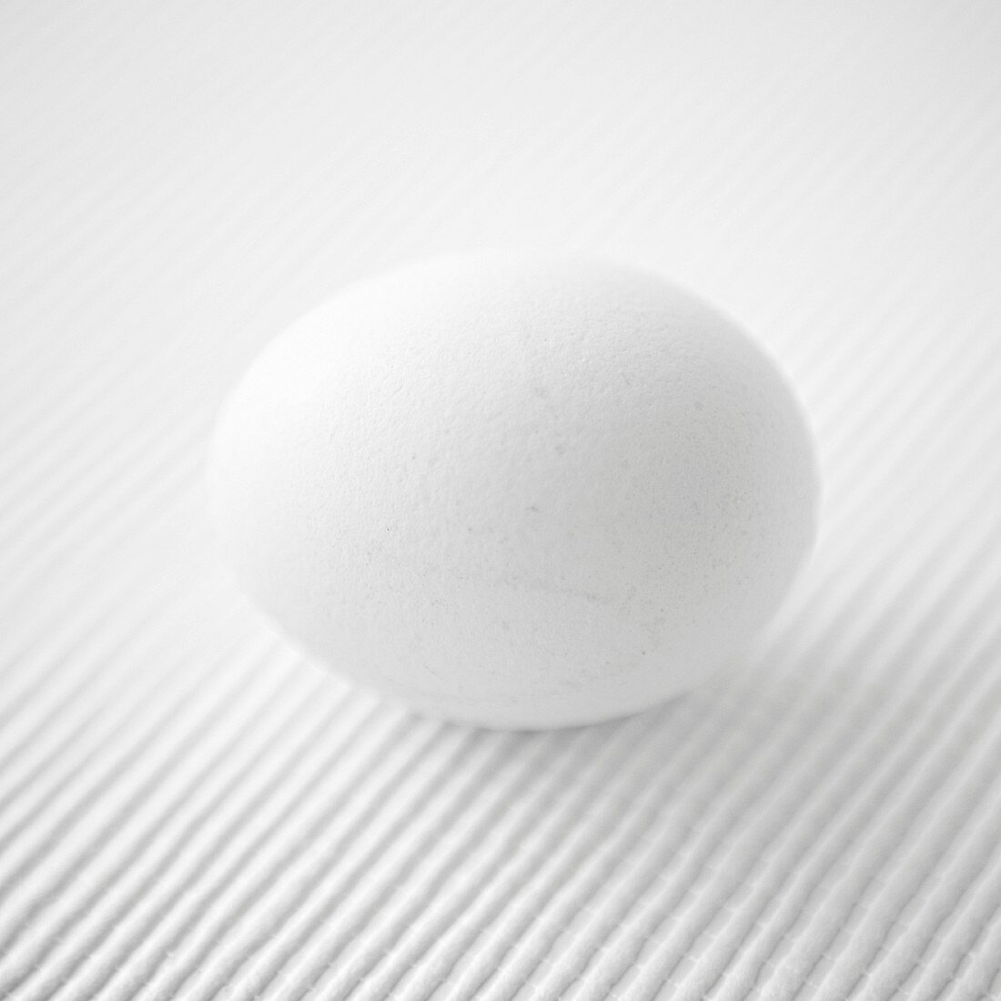 A white egg on a white textured background