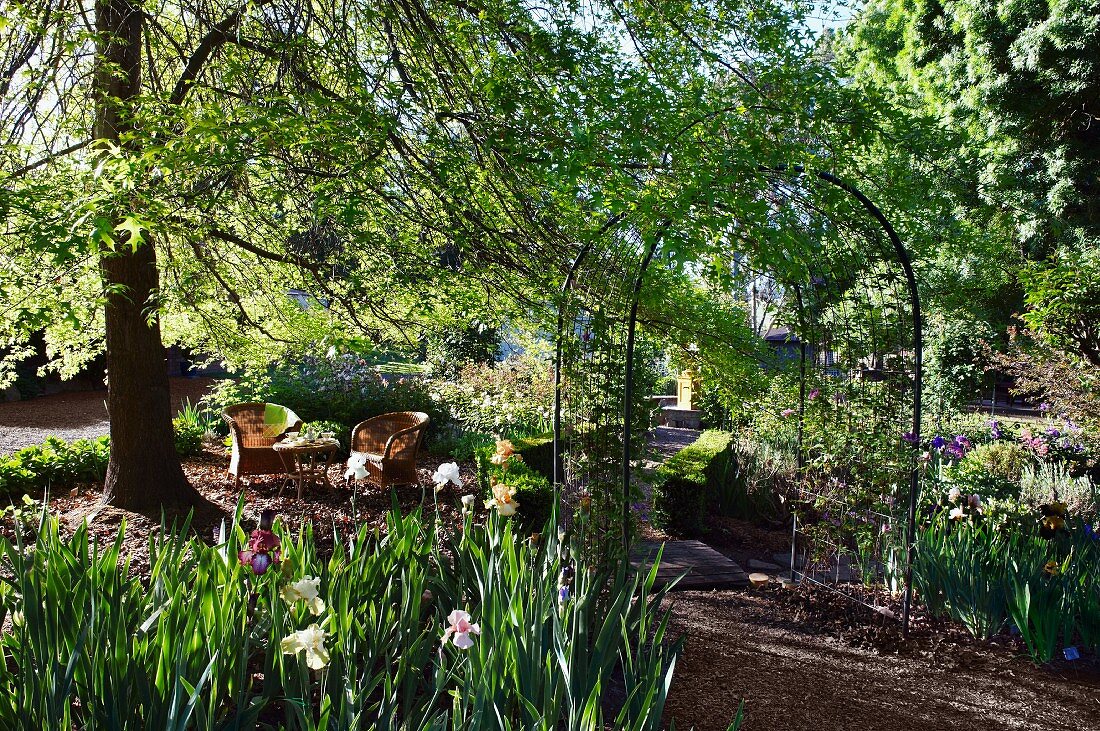 Trellis arch leading to seating area with wicker chairs below tree; beds of flowering iris in foreground