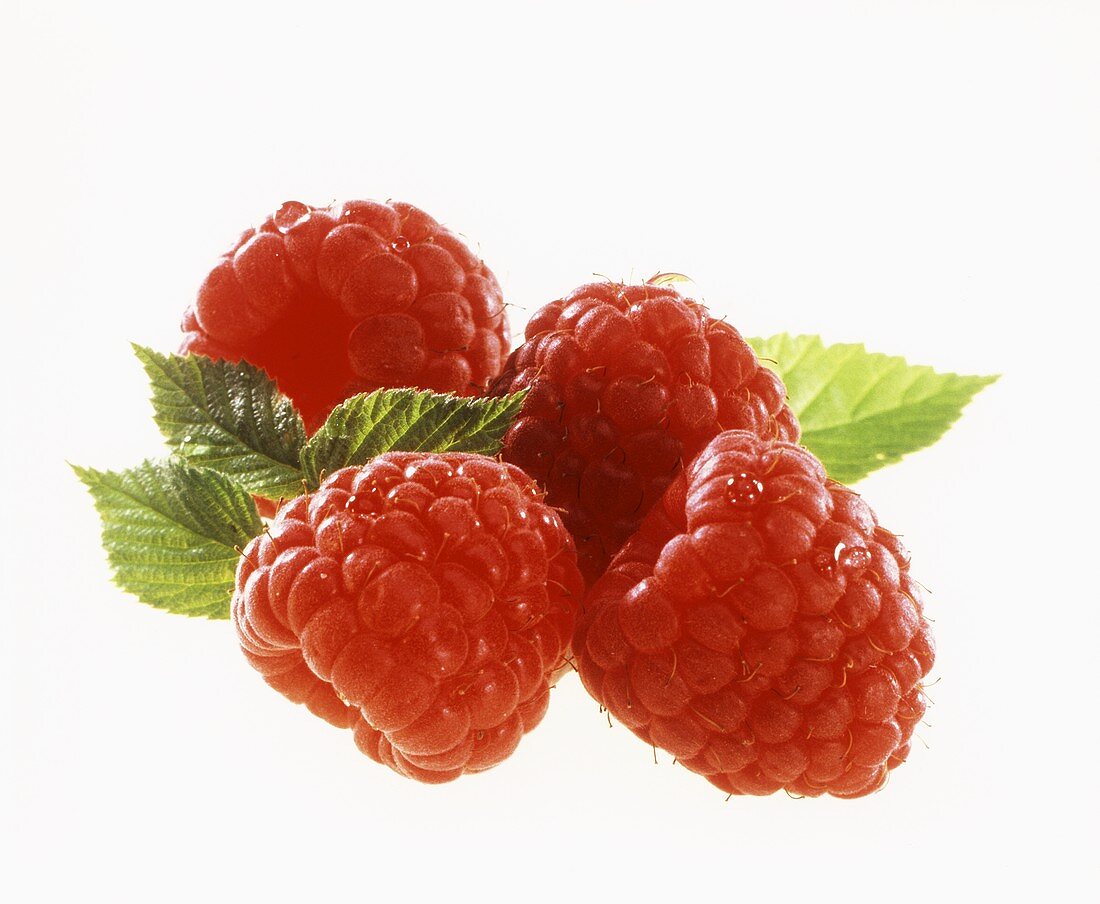 Vier Himbeeren mit Blattgrün