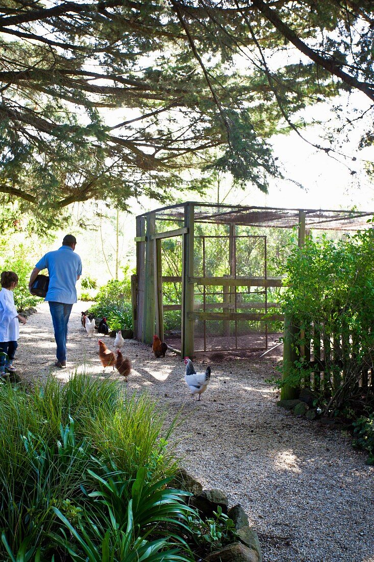 Man and child feeding hens on gravel path in front of wire mesh pen