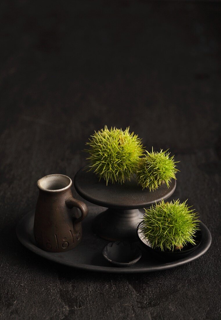 Green chestnuts in their cases on an anthracite cake stand