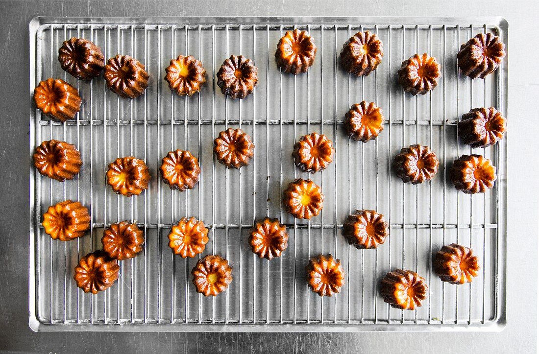 Cannelés (mini cakes with vanilla and rum, France)