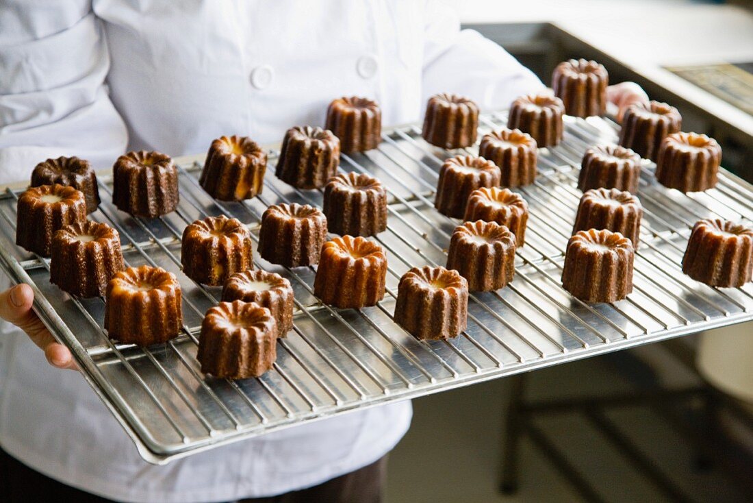 Canelés (mini cakes with vanilla and rum, France)