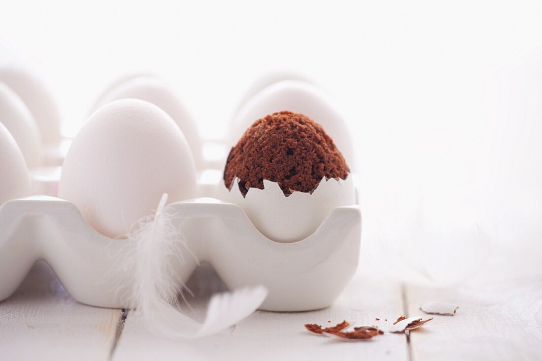 Chocolate cakes in an eggshell