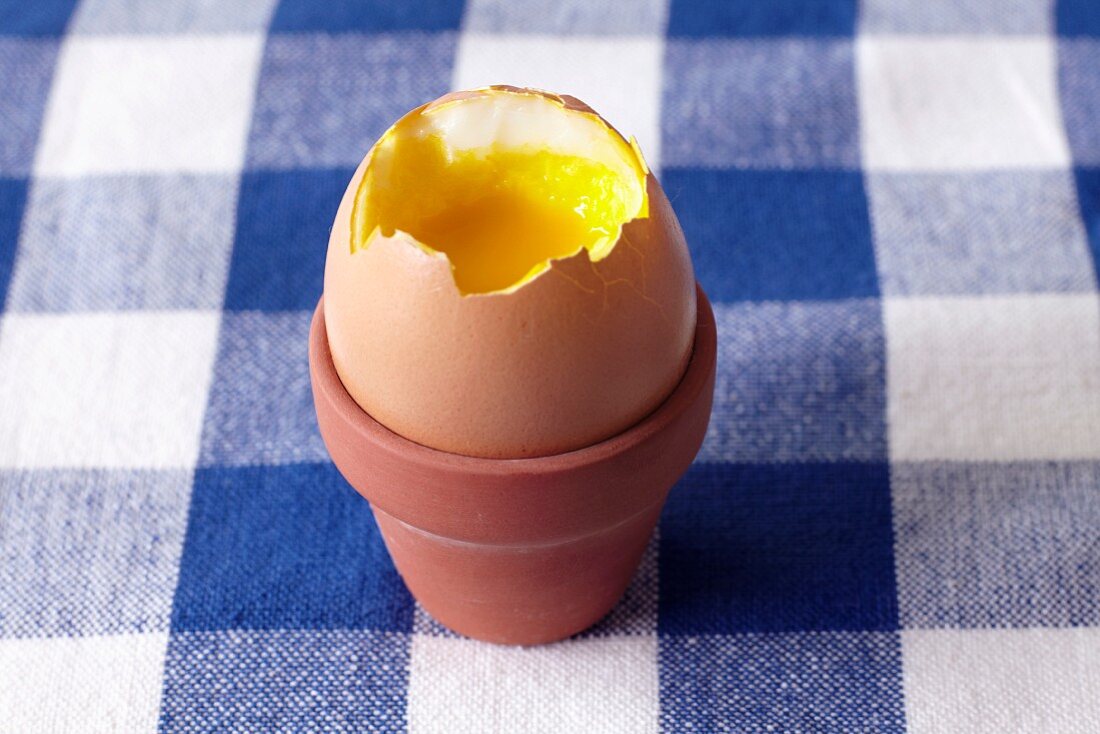 A soft-boiled egg in a miniature flowerpot