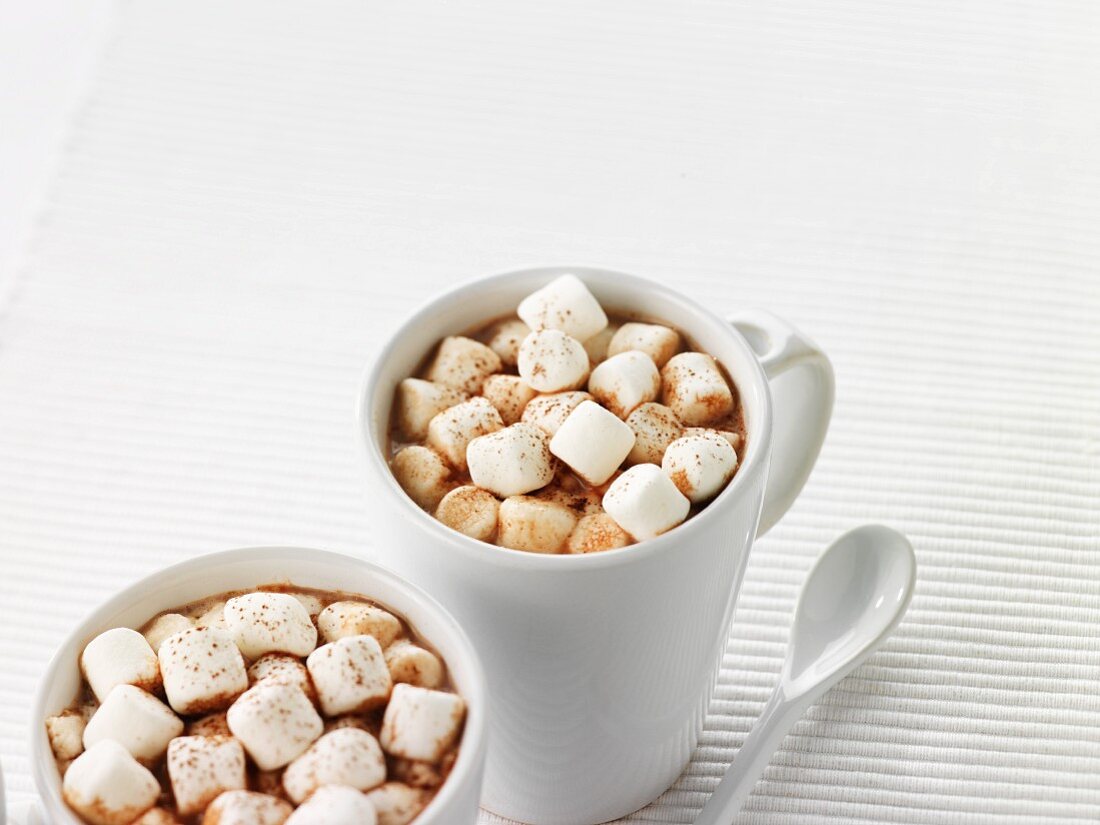 Hot chocolate with mini marshmallows