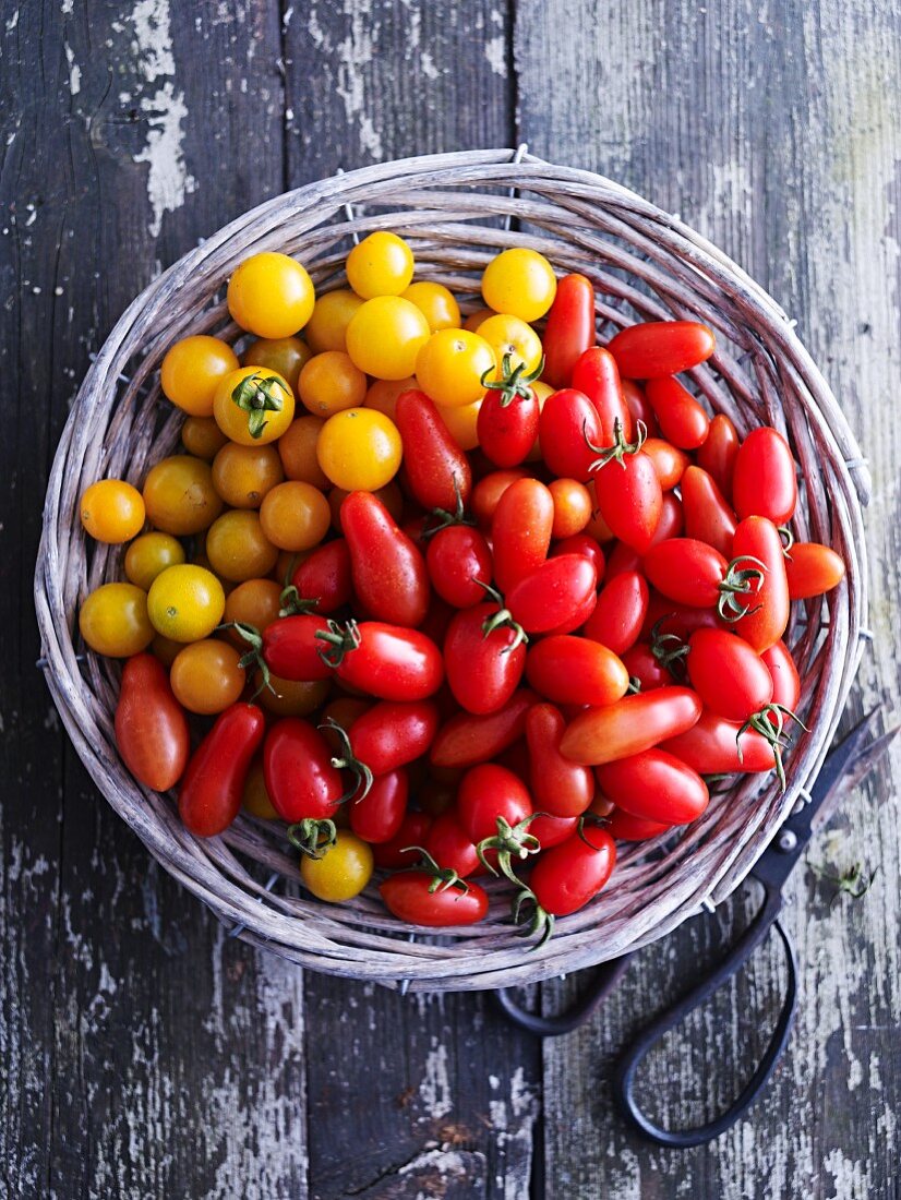 Various types of cocktail tomatoes in a basket (seen from above)