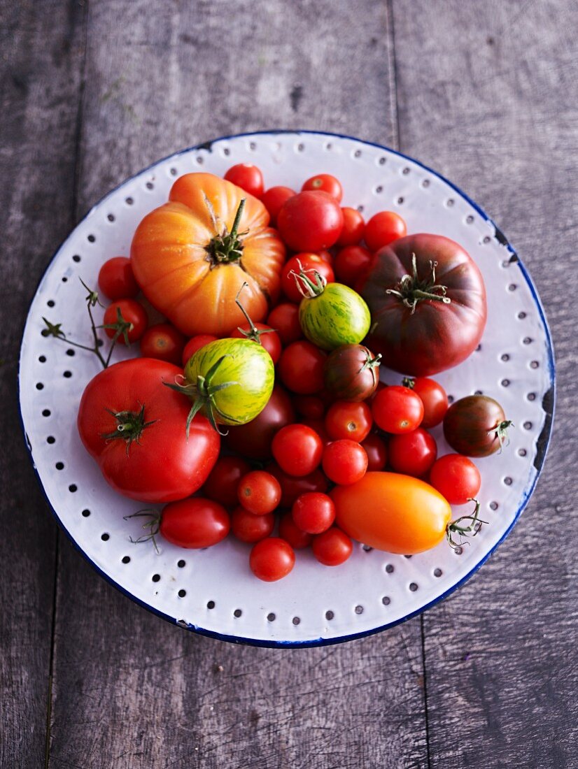 Verschiedene Tomatensorten auf Emailleteller