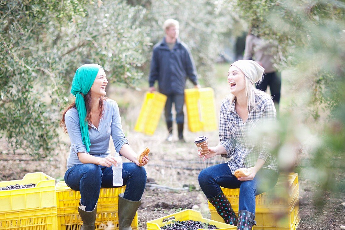 Zwei Frauen sitzen auf Kisten und machen Pause von der Olivenernte