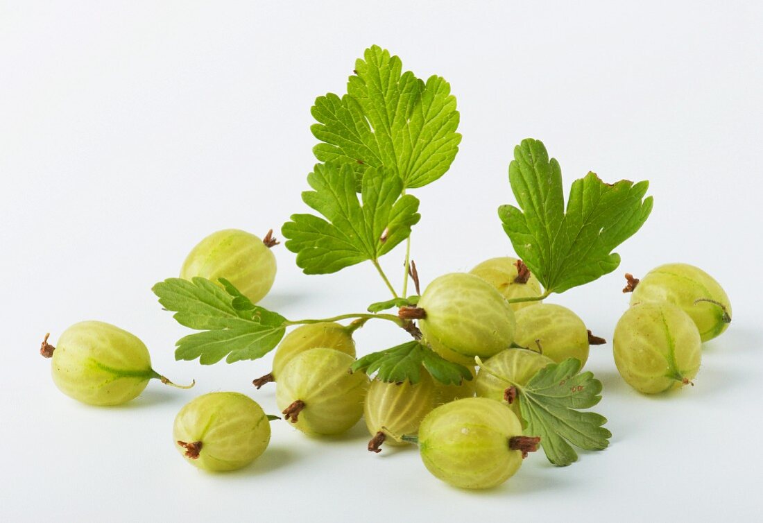 Gooseberries with leaves