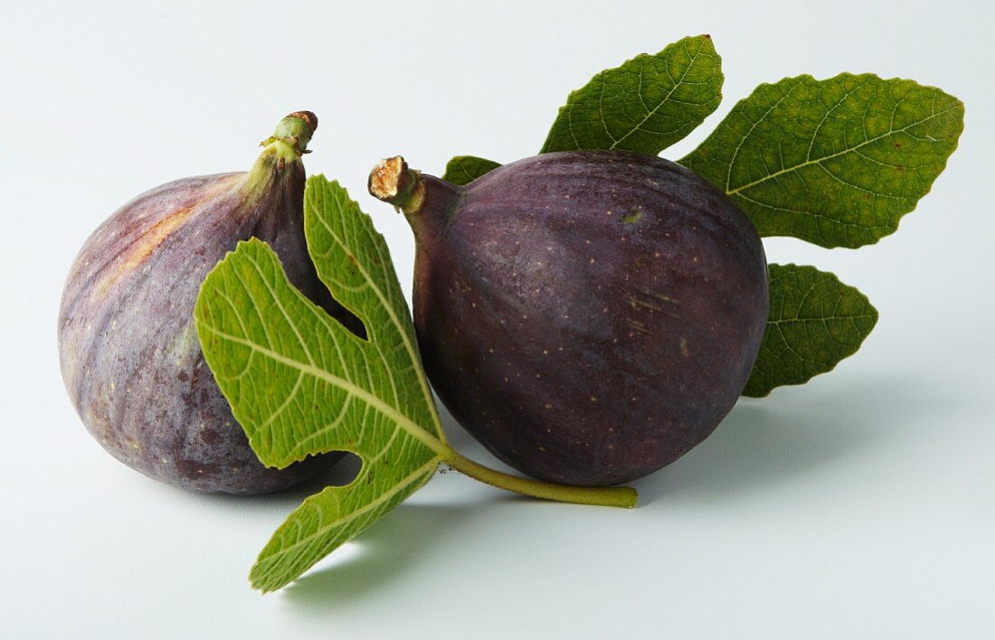 Two figs with fig leaves