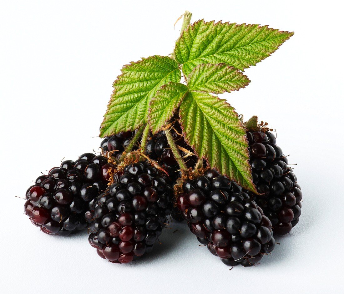 Blackberries