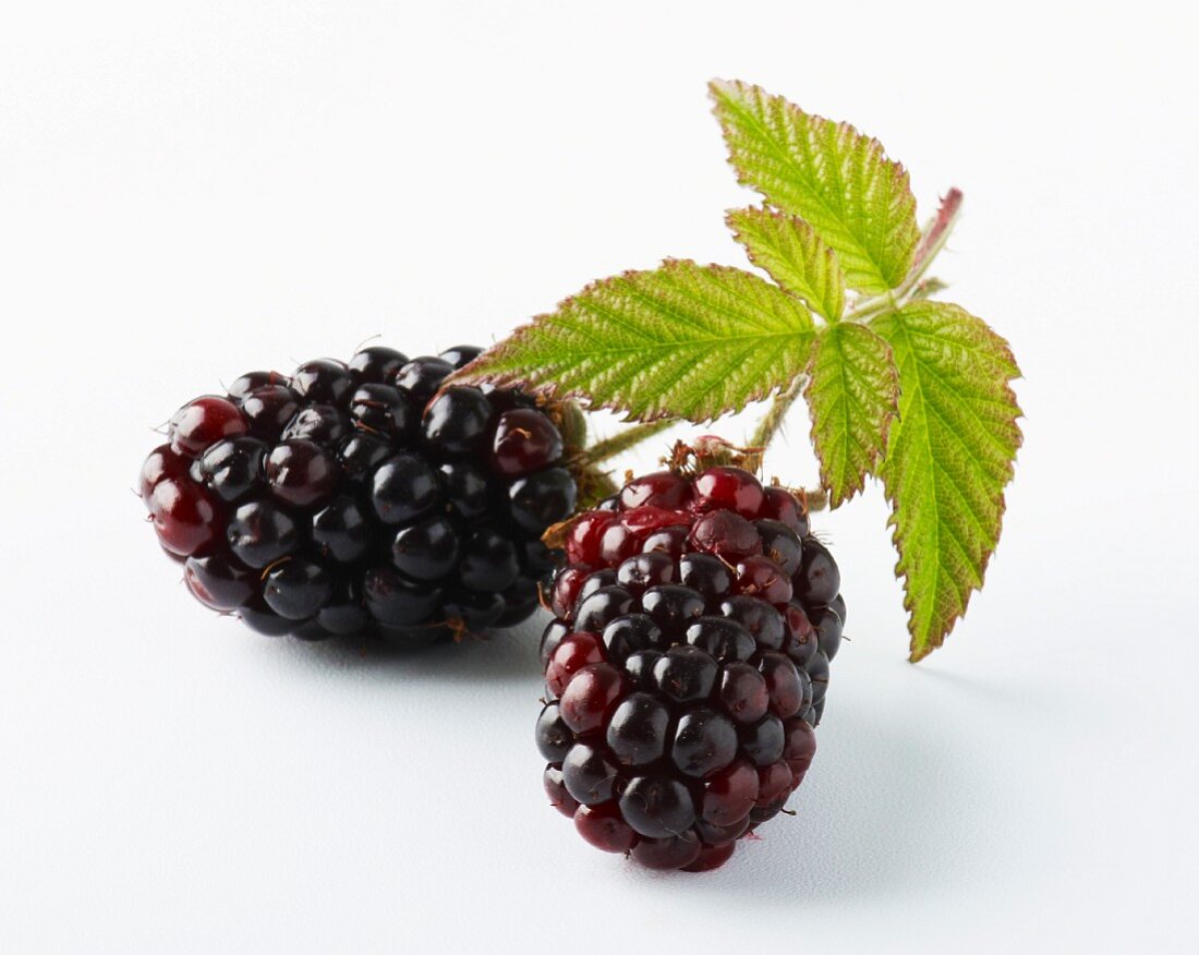 Zwei Brombeeren