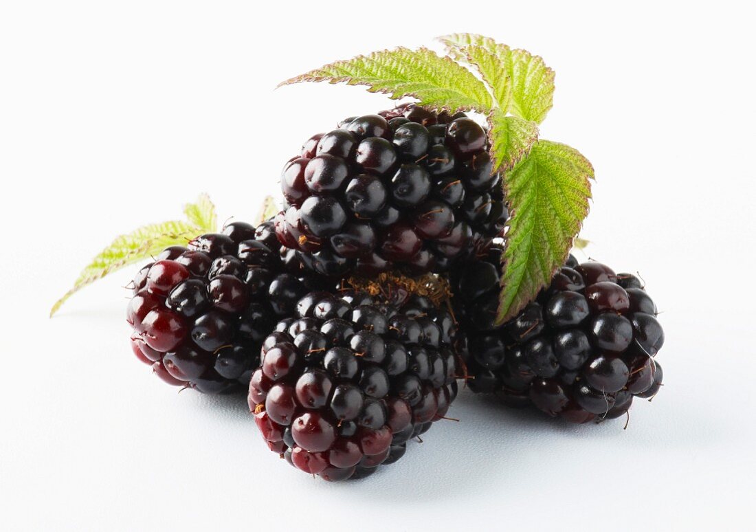 Four blackberries