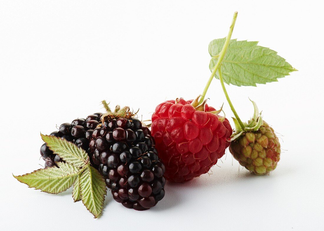 Blackberries and raspberries