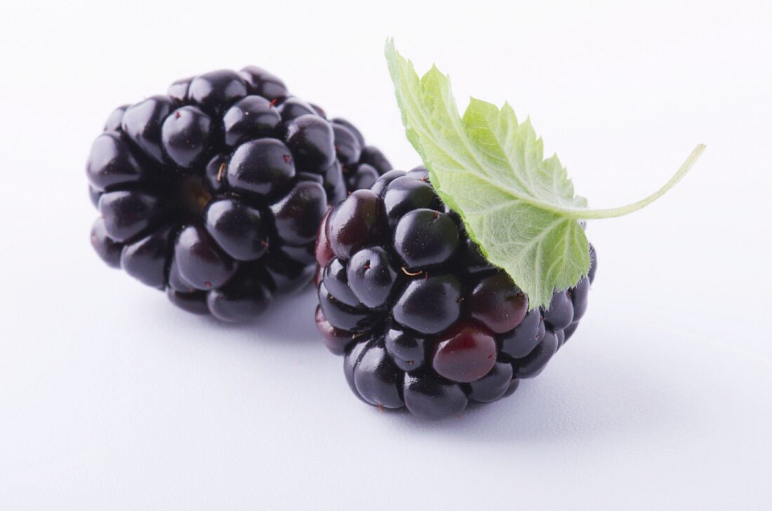 Two blackberries