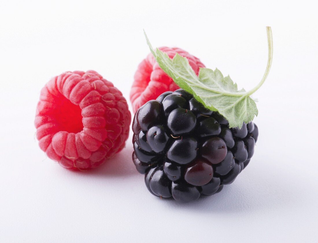 Raspberries and a blackberry