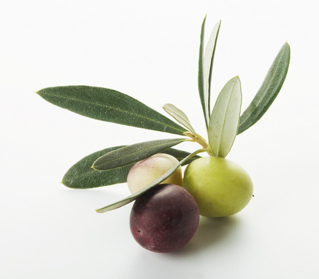 Olives with olive leaves