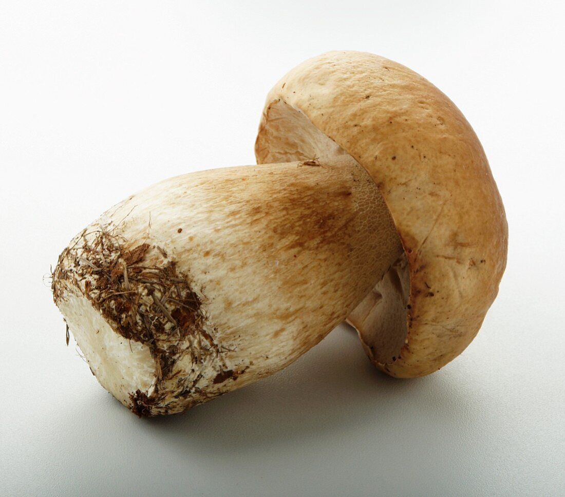 Cep