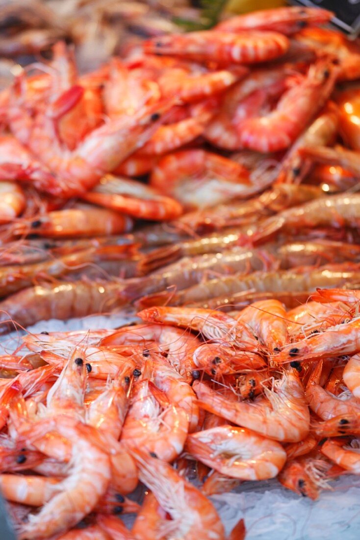 Shrimp in the market