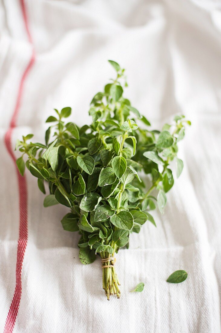 A bunch of oregano on a tea towel