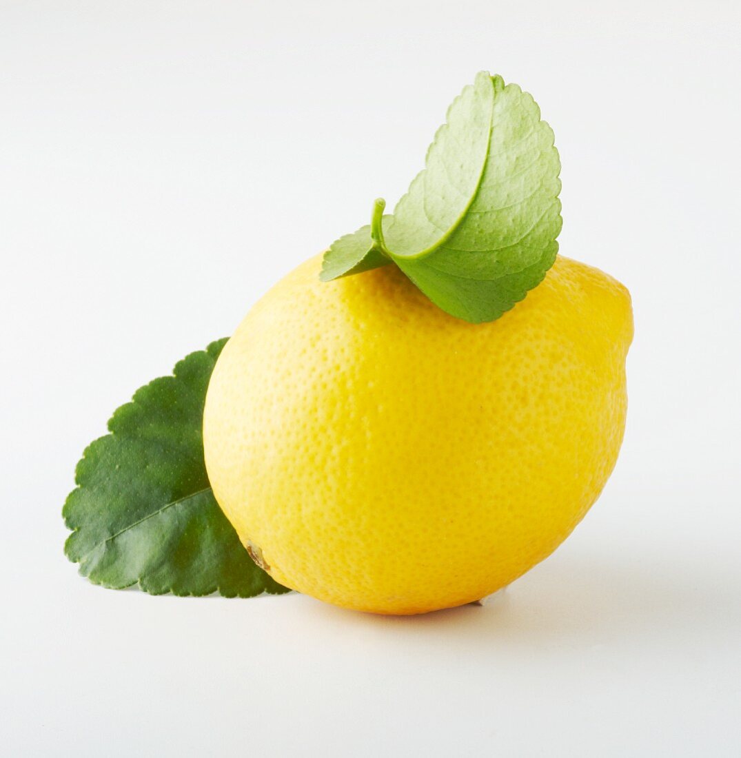 A lemon and lemon leaves