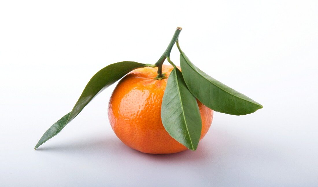 Eine Mandarine mit Mandarinenblättern