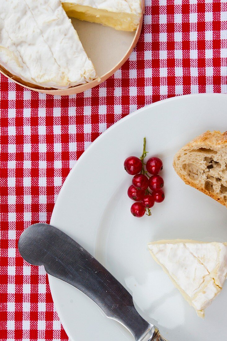 Camembert with baguette and redcurrants (view from above)