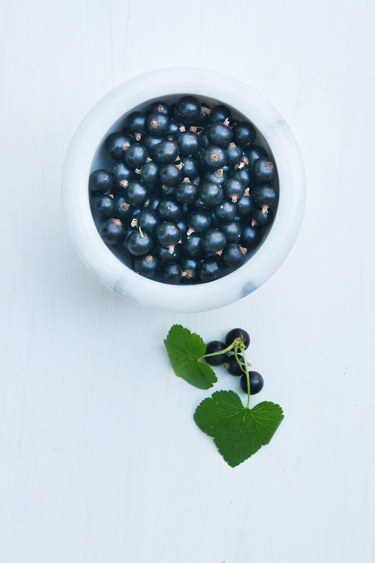 Schwarze Johannisbeeren in Marmorschälchen (Aufsicht)