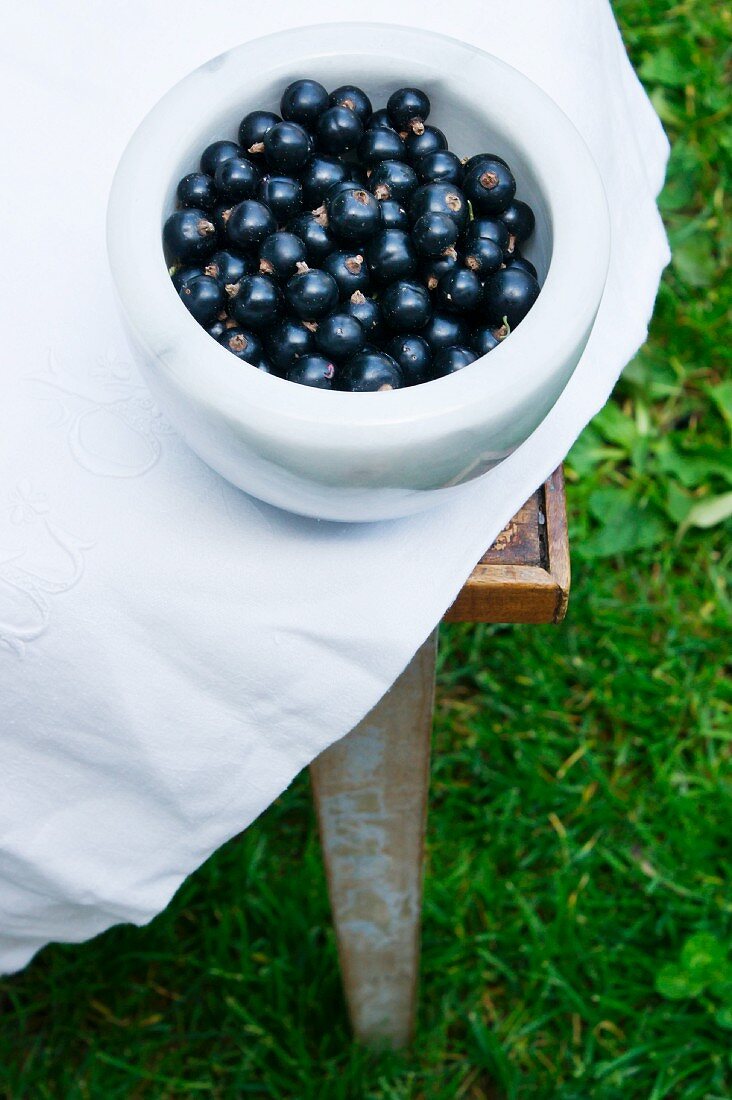 Schwarze Johannisbeeren in Marmorschälchen auf Tisch im Freien