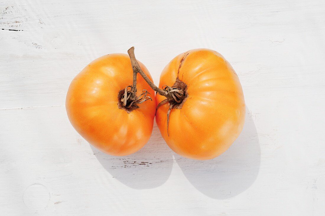 Tomaten der Sorte Diva