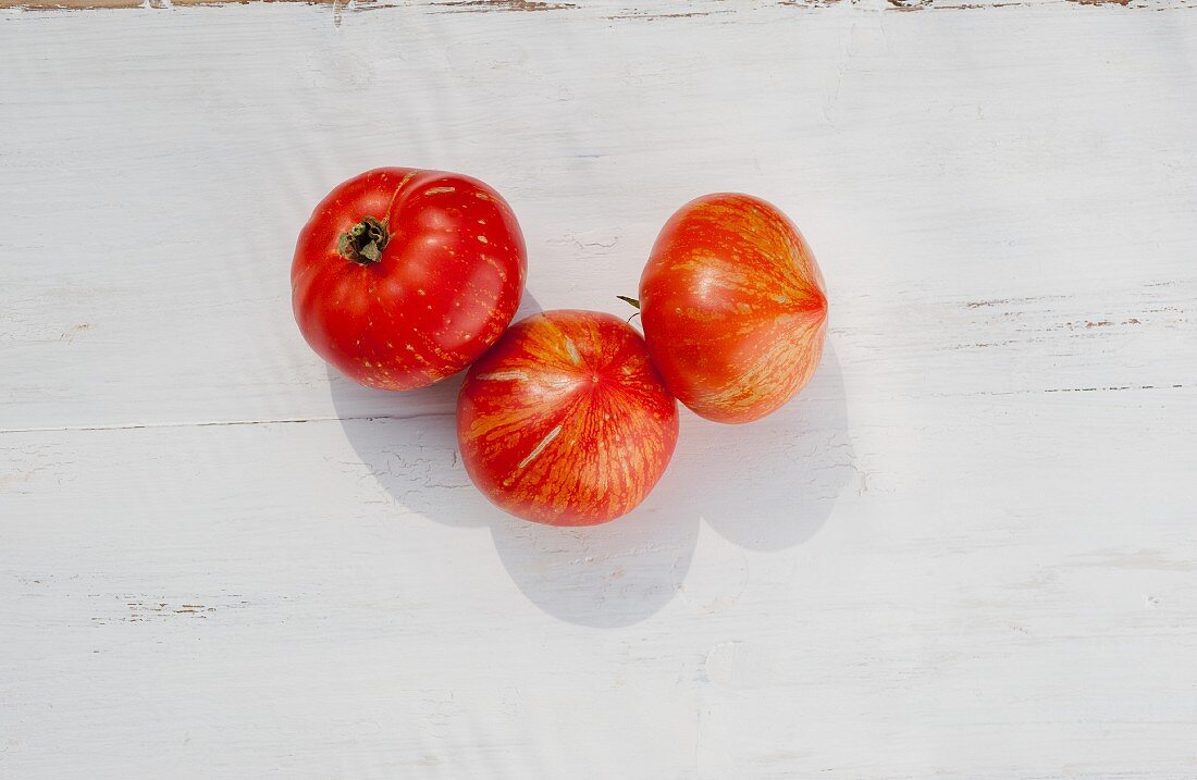 Tomaten der Sorte Feuerwerk