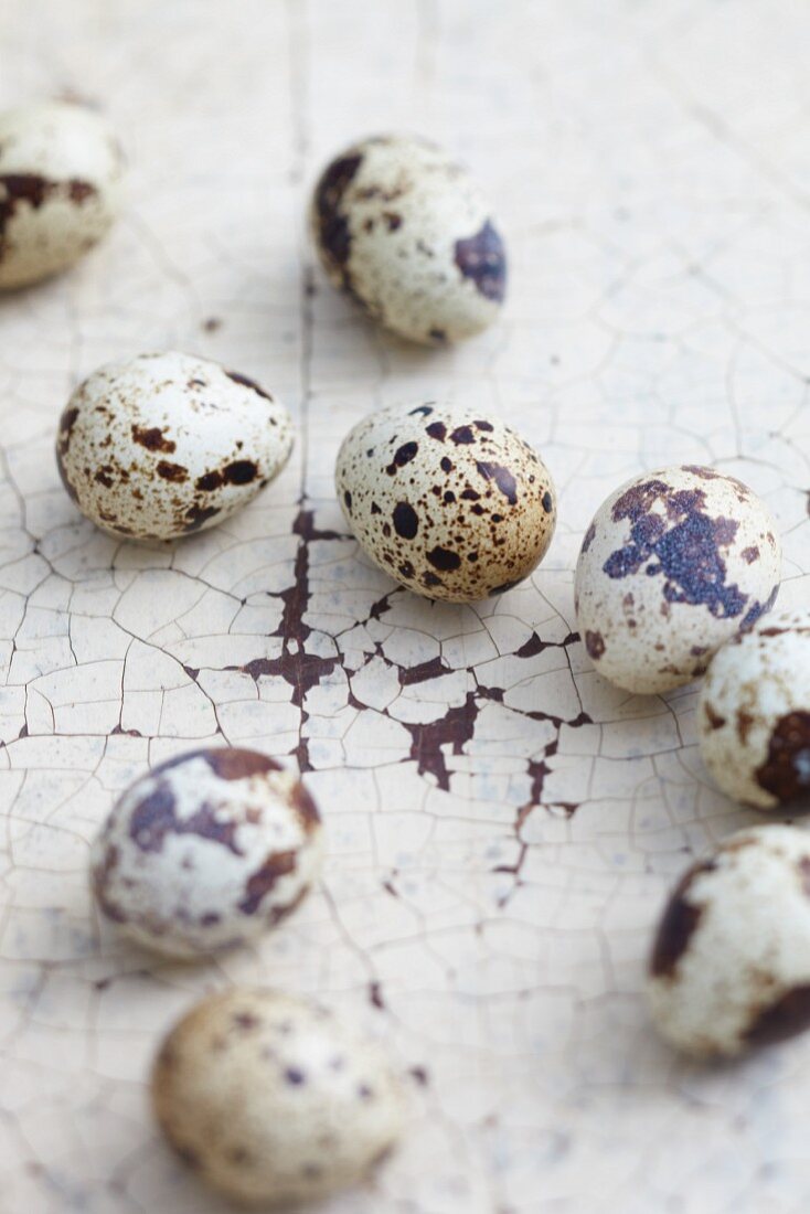 Quail's eggs