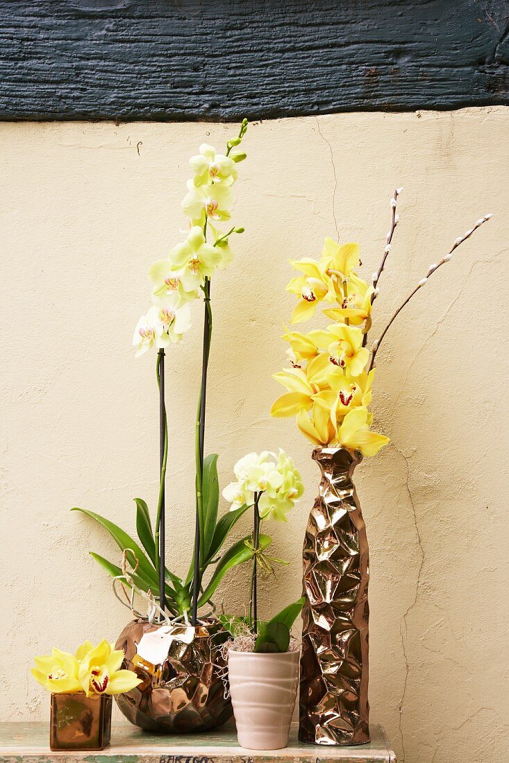 Orchids on wooden shelf