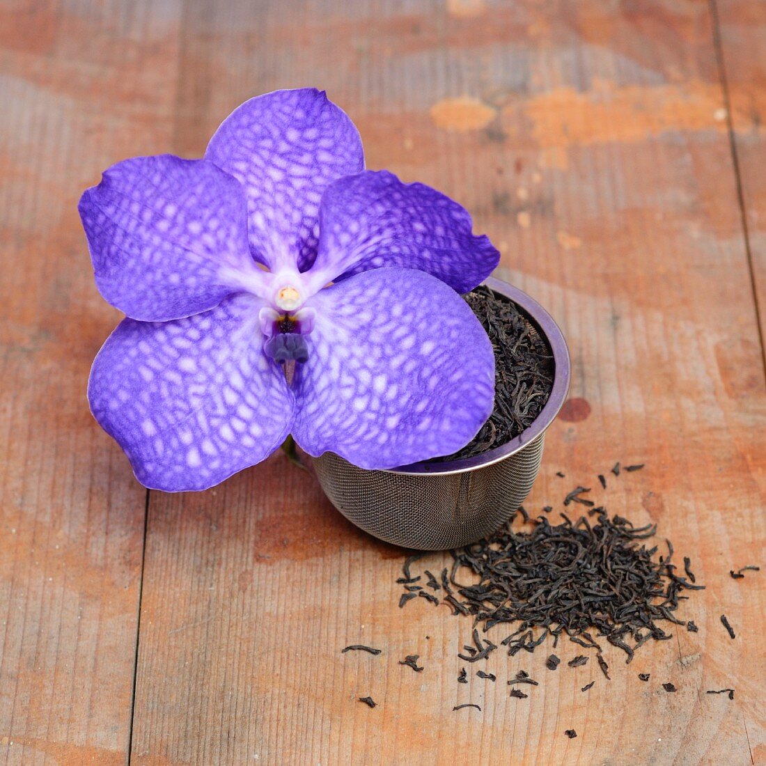 Tea leaves and a purple orchid
